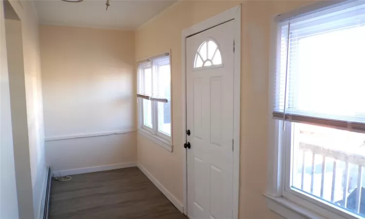 Foyer with dark hardwood / wood-style floors