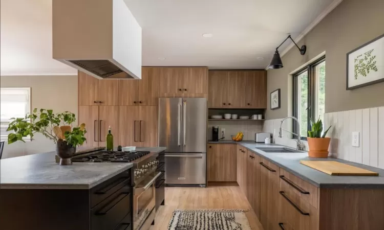 Kitchen featuring light hardwood / wood-style flooring, premium appliances, exhaust hood, crown molding, and sink