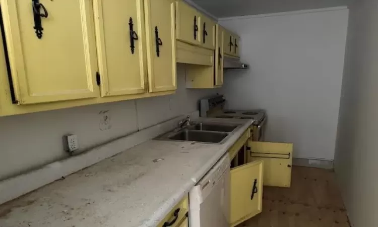 Kitchen with electric stove, sink, and white dishwasher