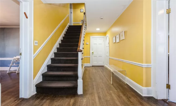 Stairs with ornamental molding and wood-type flooring