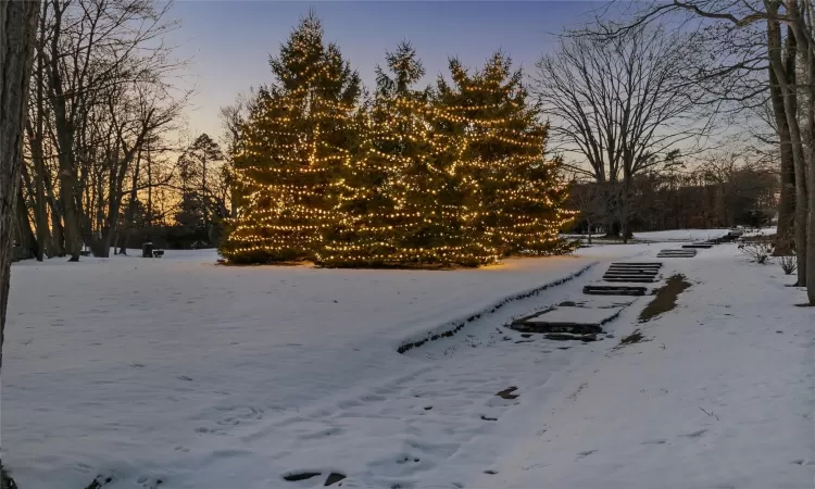 Mature trees on sprawling lawn, beautiful in every season