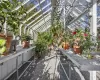 Interior view of Lord and Burnham Greenhouse