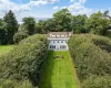 Rear garden of of the dining and living rooms