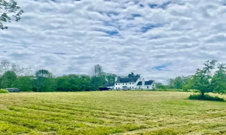 View of yard / additional pasture