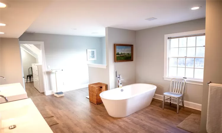 Bathroom featuring vanity, a washtub, and large walk in closet