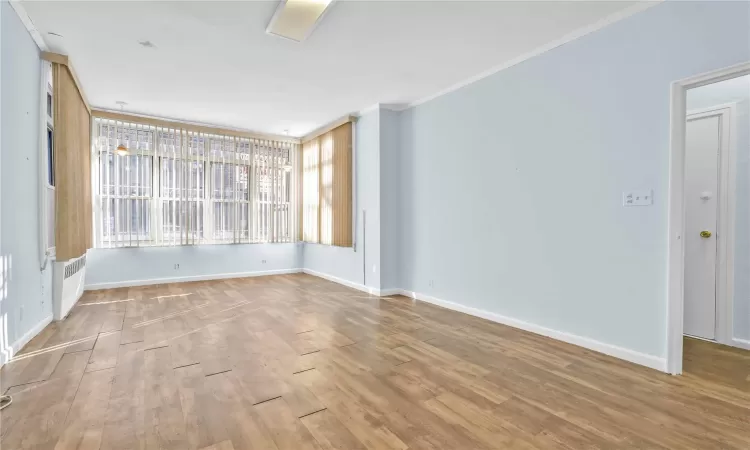 Spare room with wood-type flooring and crown molding