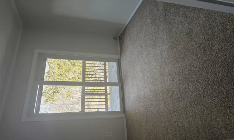 Unfurnished room with carpet and crown molding