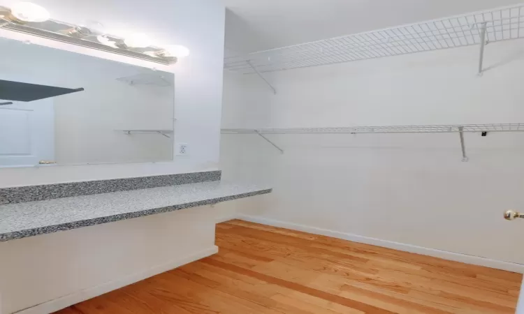 Spacious closet featuring wood-type flooring