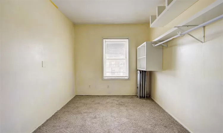 Walk in closet with carpet