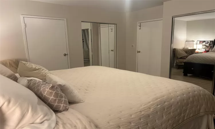 Bedroom with multiple closets and wood-type flooring