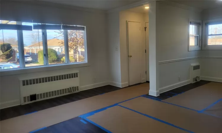 Entrance foyer featuring dark wood-type flooring, plenty of natural light, and radiator heating unit