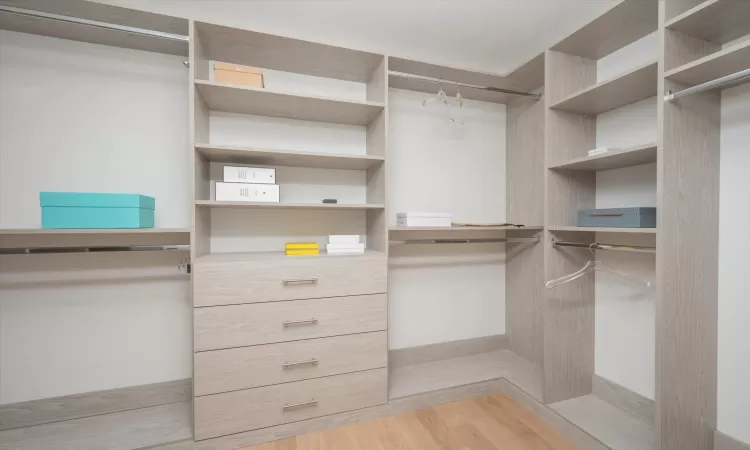 Primary walk-in fitted closet