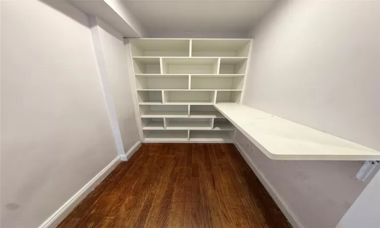 Walk in closet featuring dark hardwood / wood-style floors