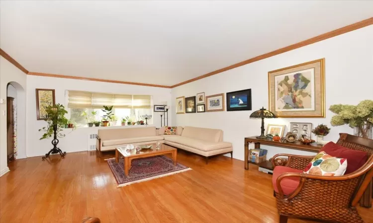 Living room with wood-type flooring, radiator heating unit, and ornamental molding