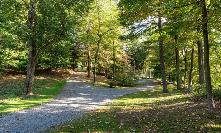 View of entry road to #85 and separate home site