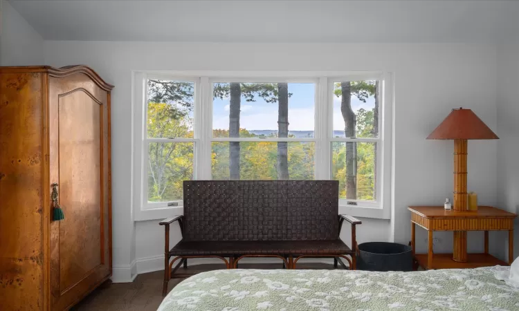 Bedroom featuring dark hardwood / wood-style floors