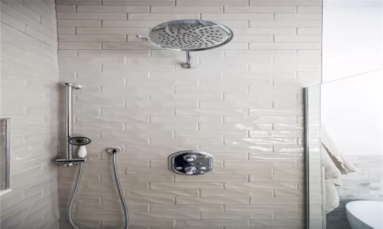 Interior details with shower with separate bathtub