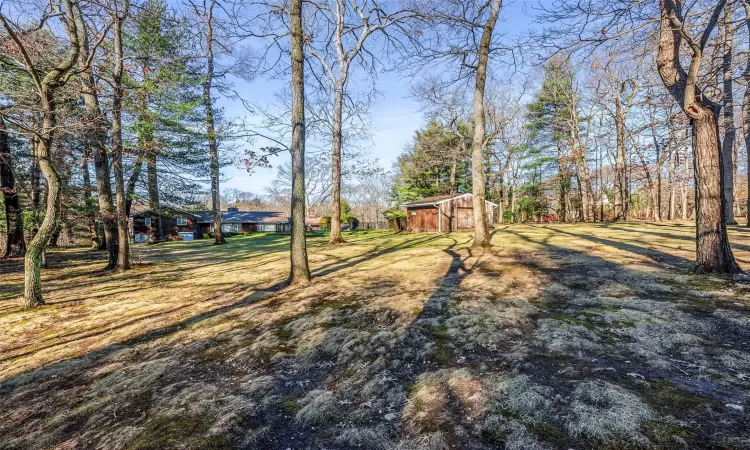 View of yard with an outdoor structure