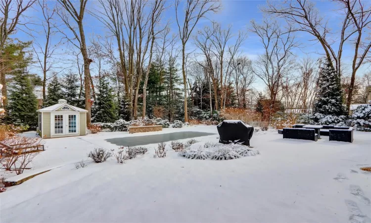 Yard covered in snow with an outbuilding