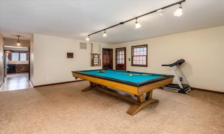 Playroom featuring a healthy amount of sunlight, rail lighting, and carpet flooring