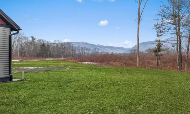 View of yard with a mountain view