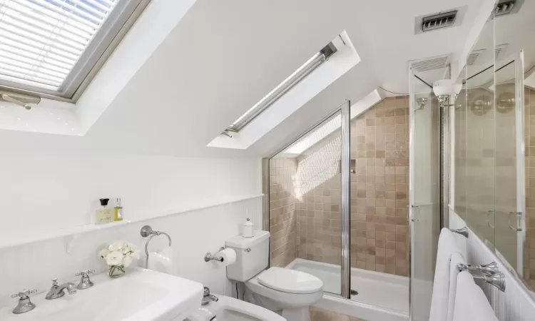 Bathroom with an enclosed shower, a skylight, sink, toilet, and a bidet