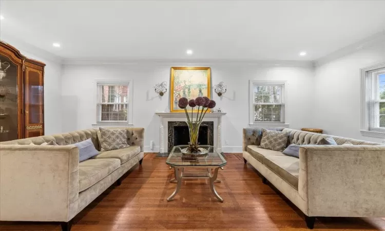 Living room with ornamental molding and dark wood-type flooring