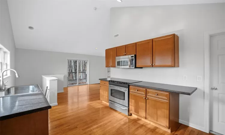 Kitchen featuring plenty of natural light, sink, stainless steel appliances, and light hardwood / wood-style floors