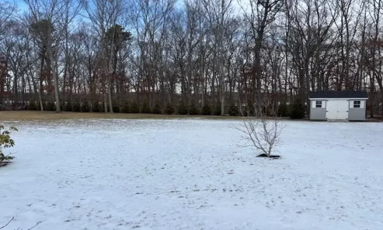 Snowy yard featuring a storage unit