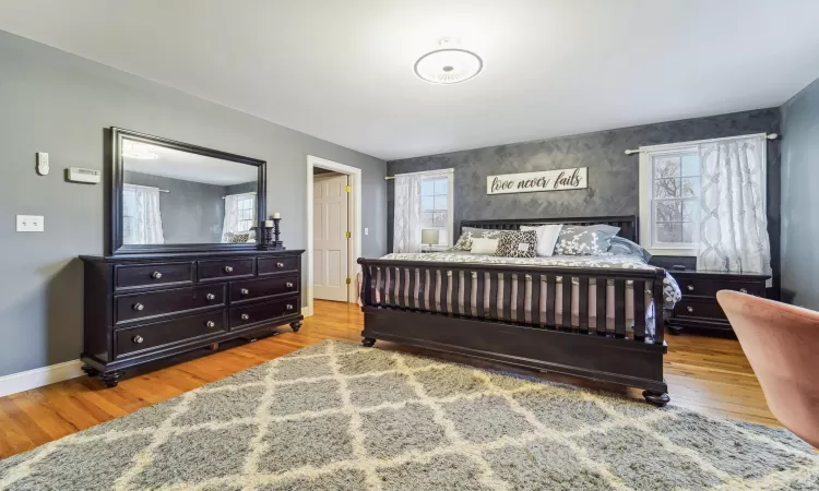 Bedroom featuring multiple windows and light wood-type flooring