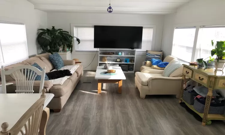 Living room with dark vinyl floors