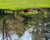 Pond View of property's with a lawn