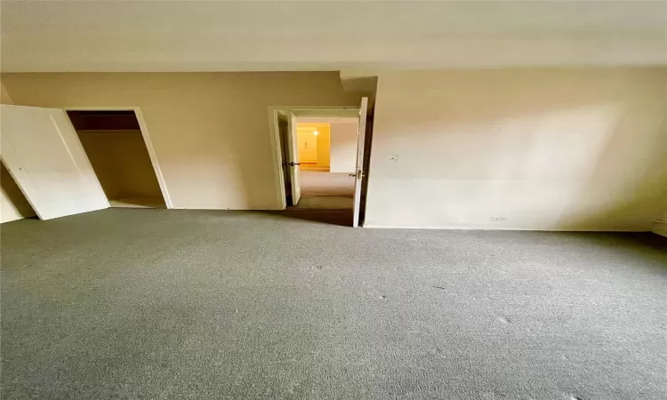 Unfurnished bedroom featuring carpet flooring and a closet