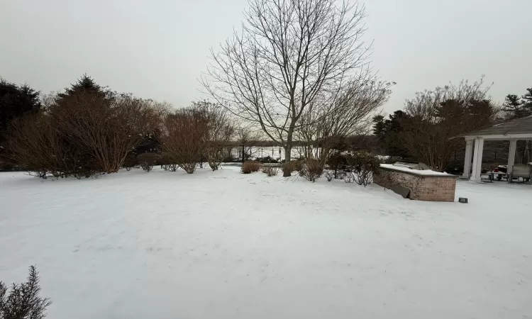 View of yard covered in snow