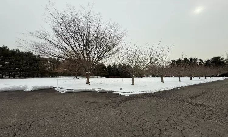 View of yard layered in snow