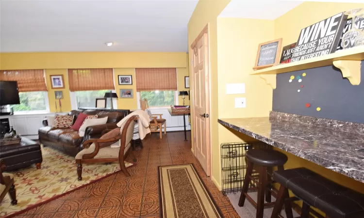 Living room featuring a baseboard radiator