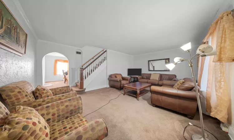 Carpeted living room with ornamental molding