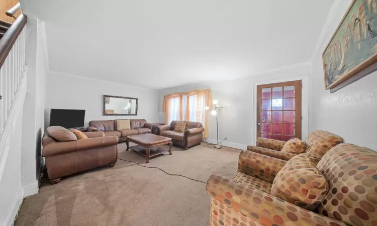 Carpeted living room featuring crown molding