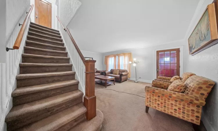 Living room with ornamental molding and light carpet