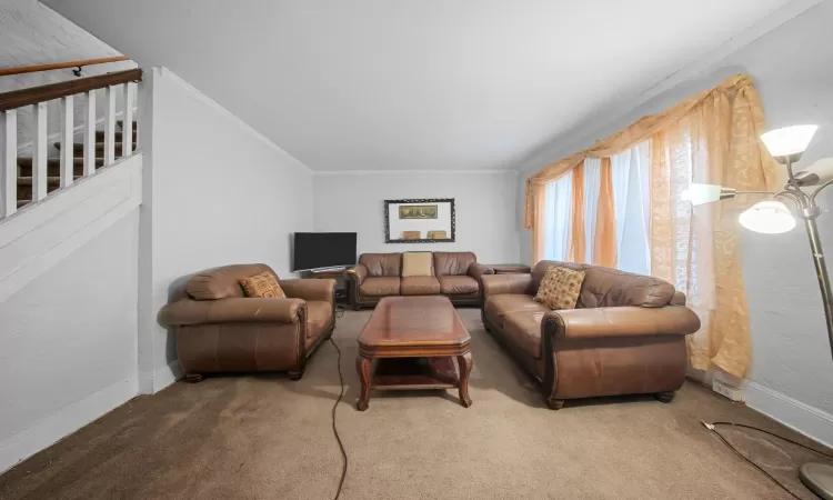 Living room with carpet flooring and ornamental molding