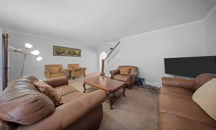 Carpeted living room with crown molding