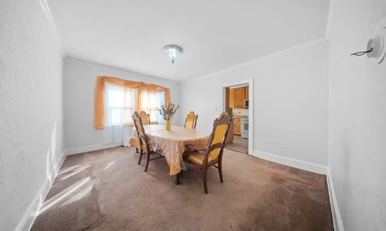 Dining room with ornamental molding and carpet flooring