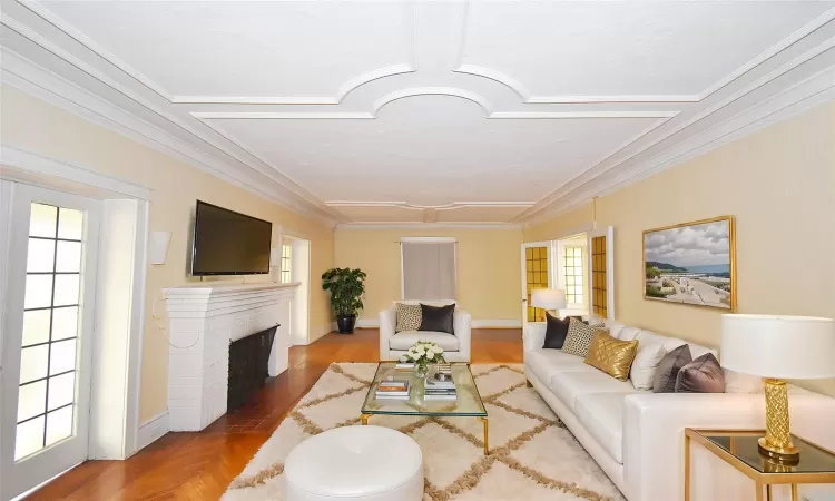 Living area with ornamental molding, plenty of natural light, and a fireplace