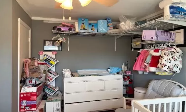 Laundry room with ornamental molding