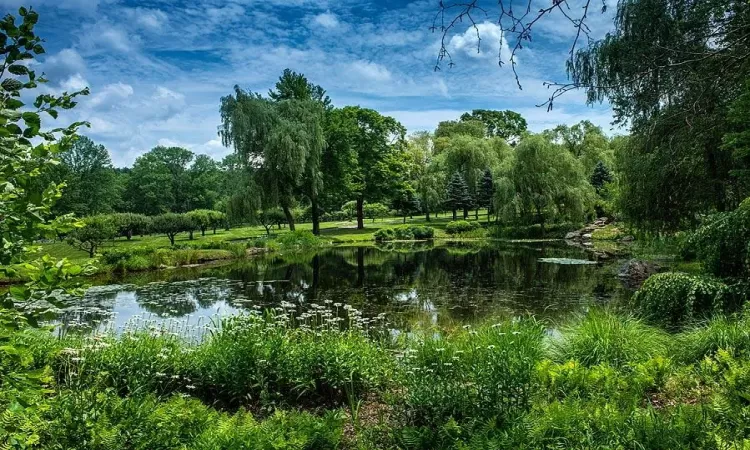 View Linden Pond