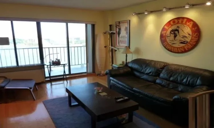 Living room featuring wood finished floors