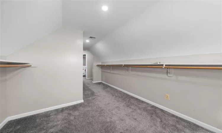 Spacious closet featuring lofted ceiling, carpet, and visible vents