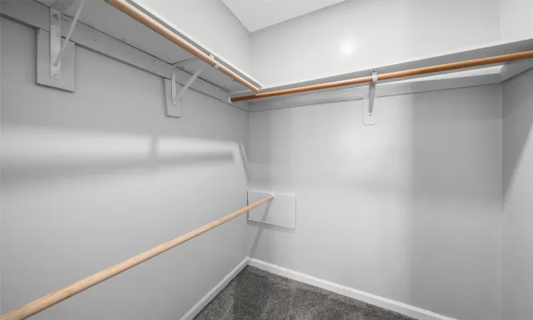 Spacious closet with dark colored carpet