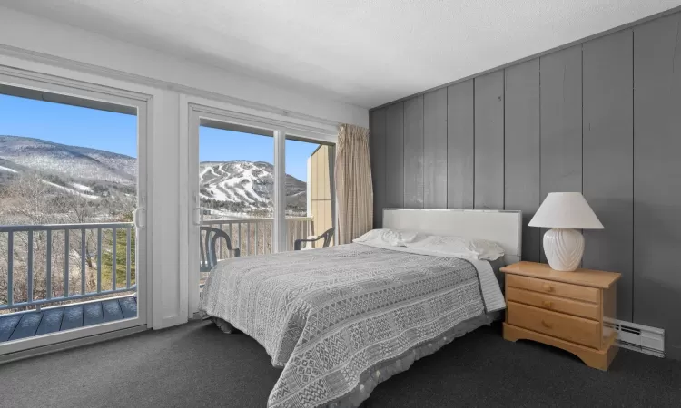 Carpeted bedroom with a baseboard heating unit, access to outside, a mountain view, and a textured ceiling