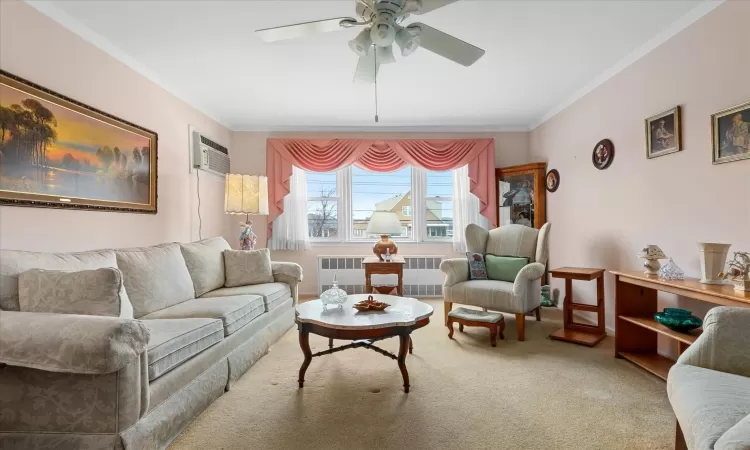 Carpeted living room with an AC wall unit, radiator heating unit, and crown molding